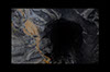 Tunnel 6 shaft bottom